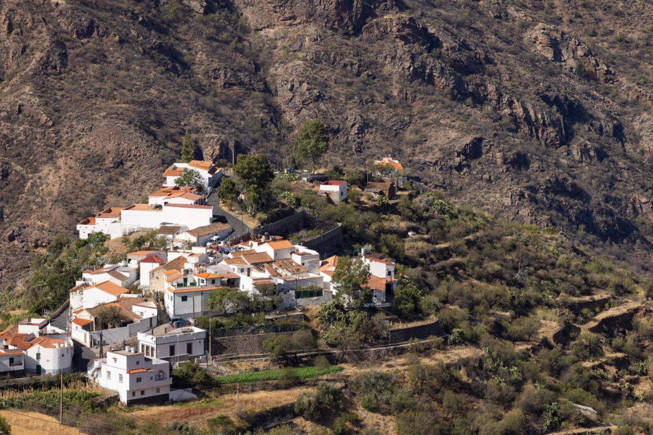 Casa Evaristo With Roque Nublo View 克鲁兹·德·特赫达 外观 照片